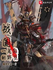 《战国一足轻的野望》封面