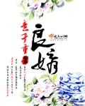 《良婿》封面