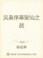 《凤枭序幕聚仙之战》封面