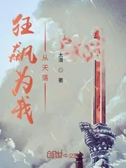 《狂飙为我从天落》封面