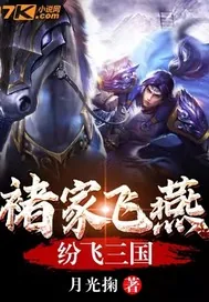 《褚家飞燕纷飞三国》封面