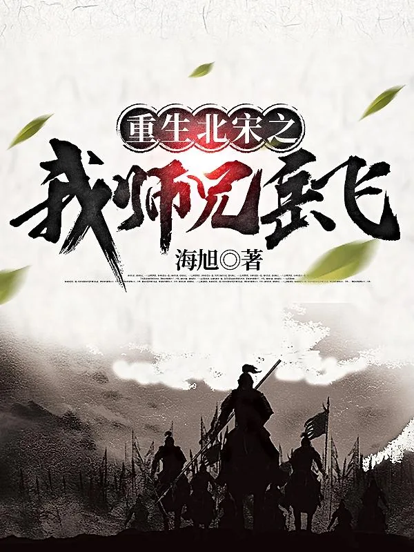 《重生北宋之我师兄岳飞》小说封面