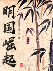 《明国崛起》封面