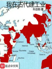 《我在古代建工业》封面