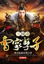 《三国之曹家孽子》封面
