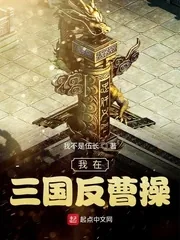 《我在三国反曹操》封面
