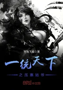 《一统天下之压寨姑爷》小说封面