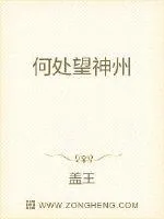 《何处望神州》封面