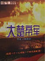 《大楚帝军》封面