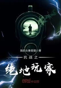《抗战之绝地玩家》小说封面