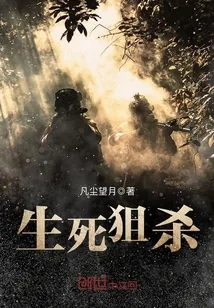 《抗战之野狼突击队》封面