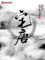 《宅唐》封面