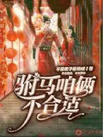《驸马咱俩不合适》封面
