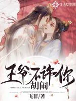 《王爷不许你胡闹》封面