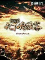《三国之天下我独尊》封面