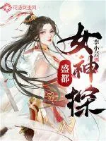 《盛都女神探》封面