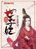 《镇国世子妃》小说封面