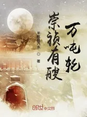 《崇祯有艘万吨轮》封面
