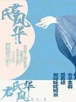 《君氏风华》封面