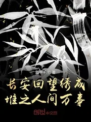 《长安回望绣成堆之人间万事》封面
