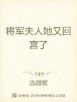 《将军夫人她又回宫了》封面
