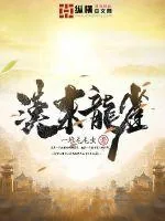 《汉末龙雀》封面