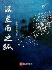 《法兰西之狐》封面