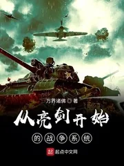《从亮剑开始的战争系统》封面