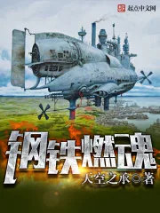 《钢铁燃魂》小说封面