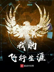 《我的飞行生涯》封面