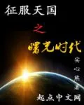 《征服天国之曙光时代》封面