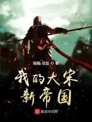 《我的大宋新帝国》封面