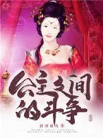 《公主之间的斗争》小说封面