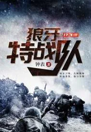 《狼牙特战队》封面