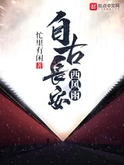 《自古长安西风雨》封面