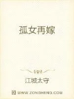 《孤女再嫁》封面