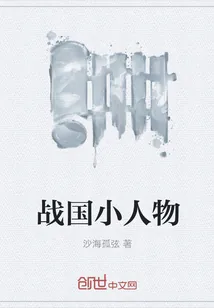 《战国小人物》封面
