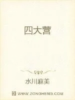 《四大营》小说封面