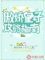 《傲娇皇子攻略指南》封面