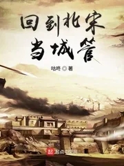 《回到北宋当城管》封面