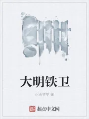 《大明铁卫》小说封面