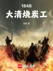 《1848大清烧炭工》小说封面