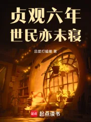 《贞观六年,世民亦未寝》小说封面