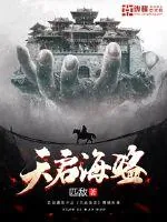 《天启海盗》封面