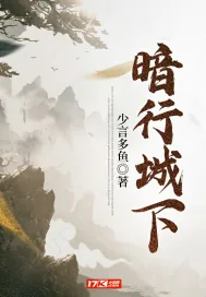 《暗行城下》封面