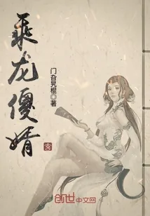 《乘龙傻婿》封面