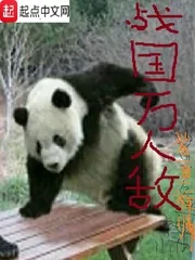 《战国万人敌》封面