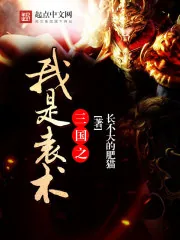 《三国之我是袁术》封面