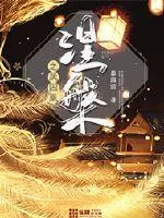 《涅槃之凤囚凰》封面