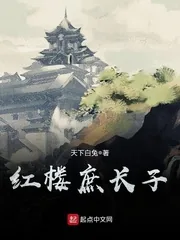 《红楼庶长子》封面